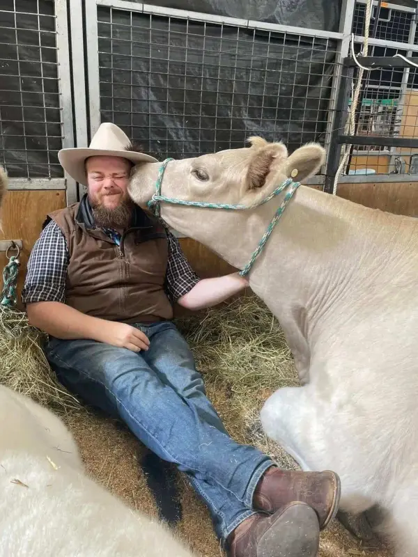 Daniel Ferguson with one of the Ferguson Livestock Murray Grey cattle